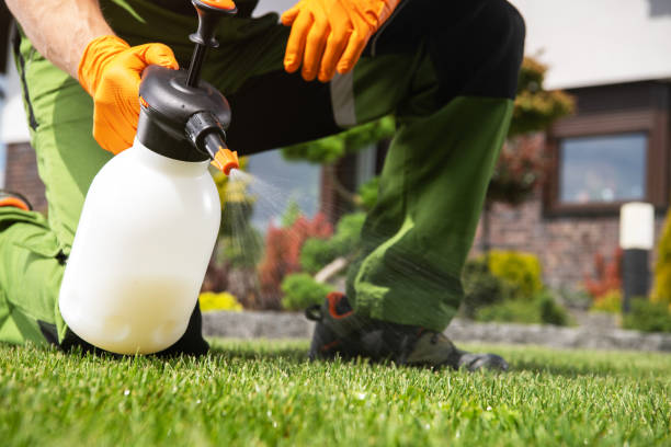 Best Pest Prevention Services  in Saticoy, CA
