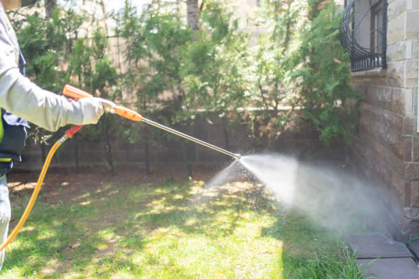 Best Pest Removal Services  in Saticoy, CA