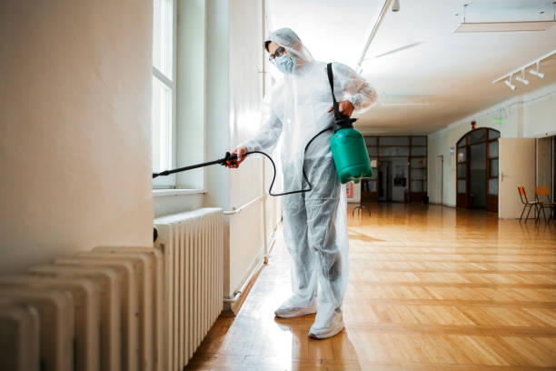 Best Commercial Pest Control Services  in Saticoy, CA