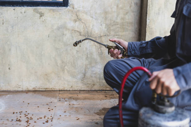 Best Best Pest Control Companies  in Saticoy, CA